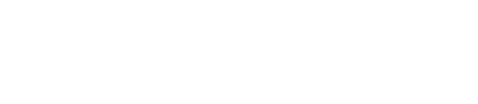 ROITZ